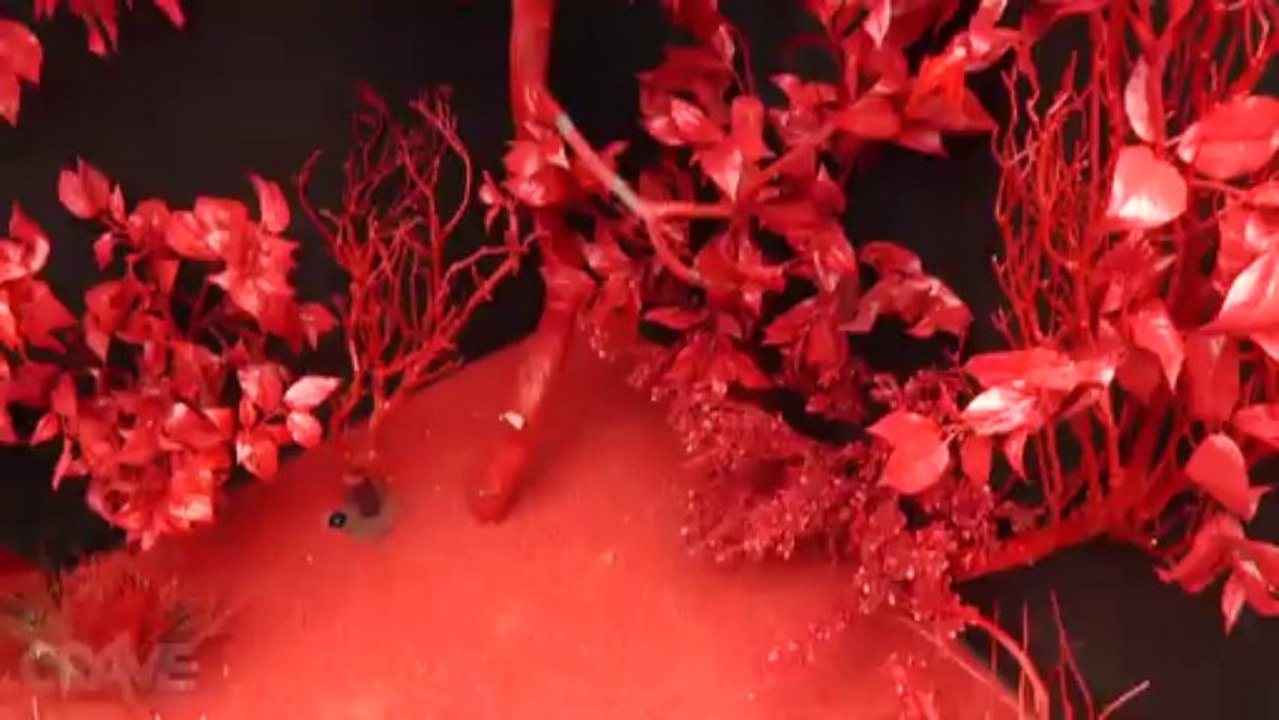 Universal's Halloween Horror Nights: Evil Dead Maze Walkthrough