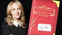 'Harry Potter' Inspired Movies Coming From JK Rowling & Warner Brothers