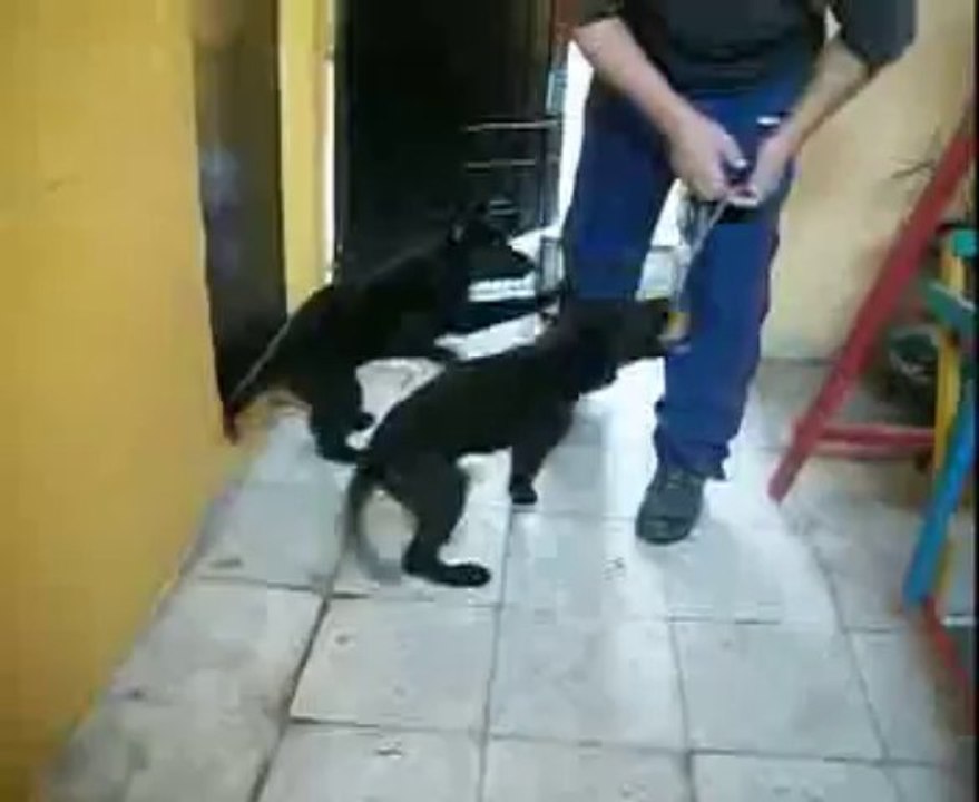 YAGAN