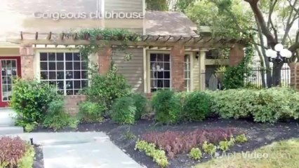 Walden Pond Apartments in Houston, TX - ForRent.com