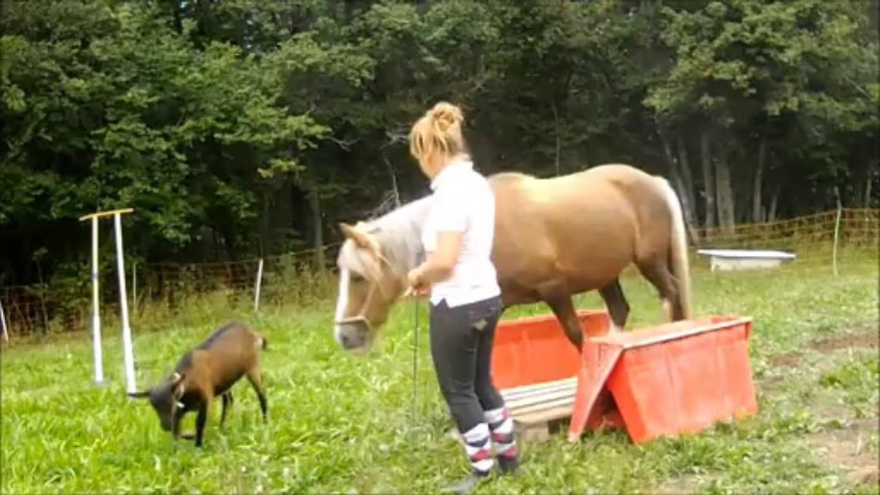 Sweet,  Travail à pied