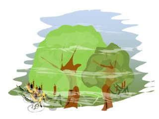 L'aquarelle que je n'ai pas achetée