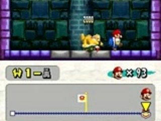 NEW SUPER MARIO BROSS