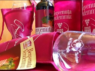 TG 12.09.13 benvenuta_vendemmia