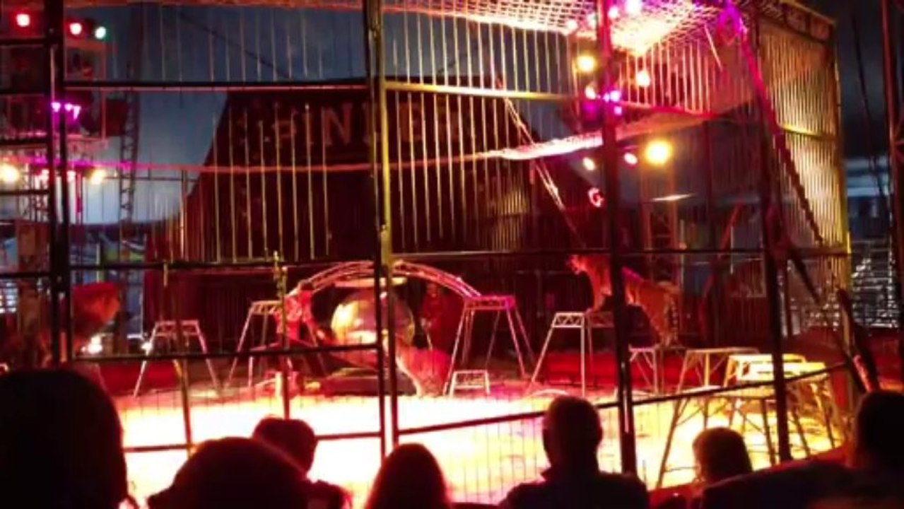 31 juillet journée au cirque 2ème Vidéo