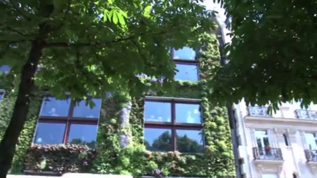 Gaia26_Laville_ecosysteme 21