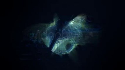 Distortion Logo - After Effects Template