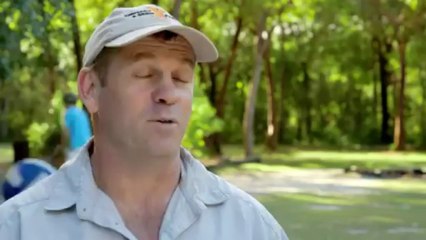 Queensland Tourism Segway ECO Xperiences