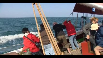 Expériences Bretonnes: visiter les sept-îles