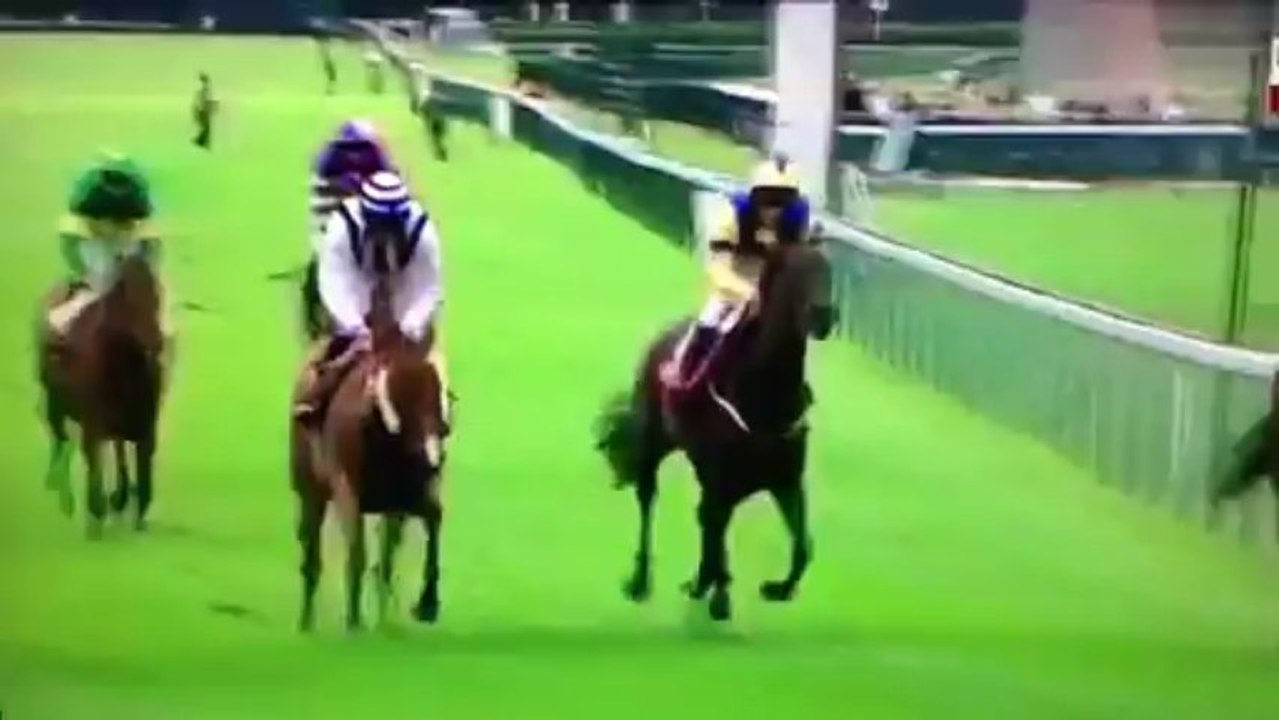 15.09.13 Qatar Prix du Petit Couvert (Dead heat - Mirza / Dibajj)