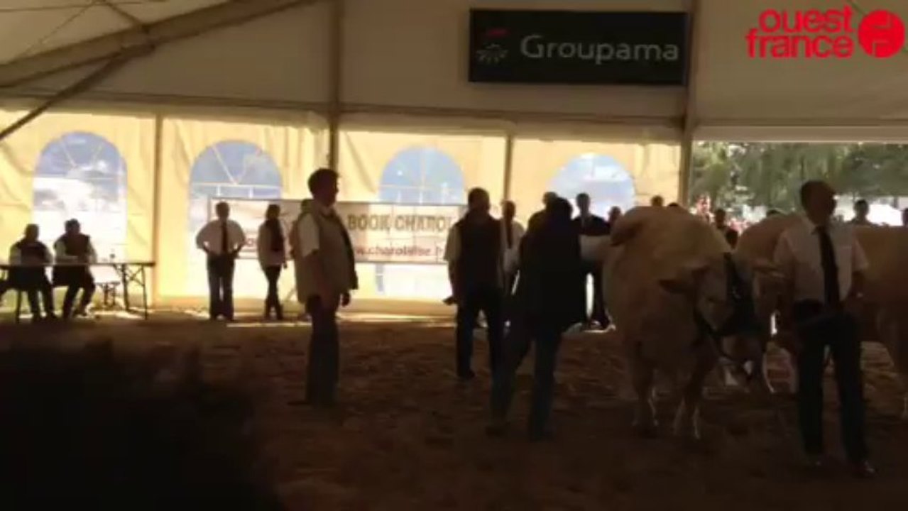 Darroussin en éleveur charolais - Tournage à la foire du Mans