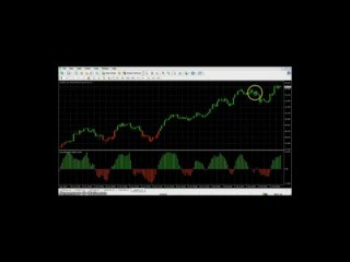 Automated Forex Trading Software