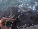 Pêche au requin avec une corde sur un rocher