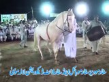 Horse Dance In Gujrat Ch Zafar Iqbal Dhonjak