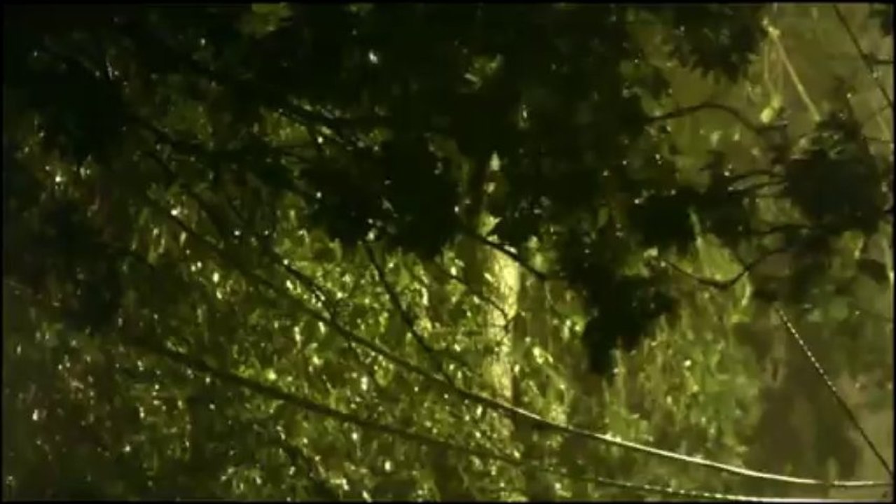 il pleut dehors -Poésie/Narration