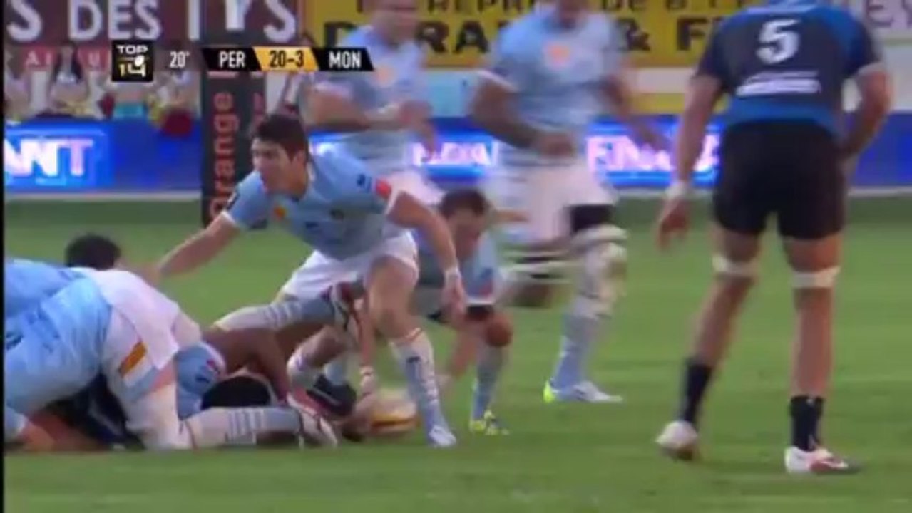 Perpignan-Montpellier: 26-16 - J6 - Saison 2013/2014