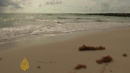 Florida beaches face sand shortage