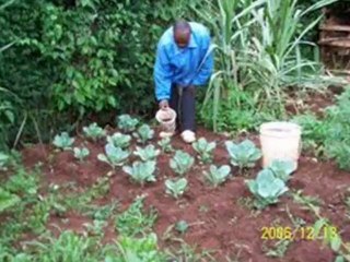 liquid fertiliser australia