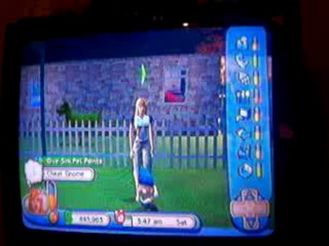 Sims 2 Pets ps2 CHEAT CODES! updated sep 14, 2013