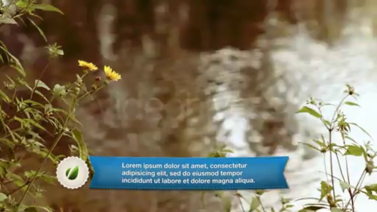 Ribbon Lower third - After Effects Template