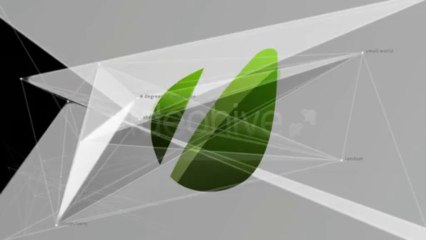 Connections - After Effects Template