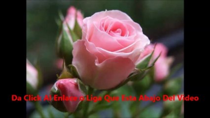 vid 3 del ret 90 dias codigo