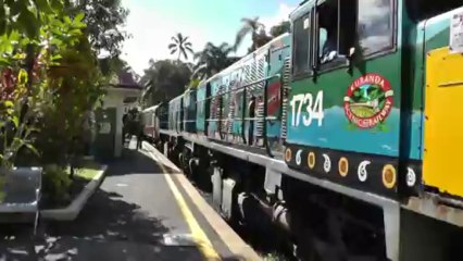 08-16-2013 Kuranda Butterfly House and Railway