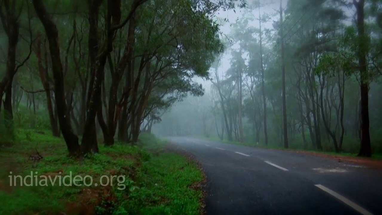 Never miss this place - Ponmudi Hill Station Kerala