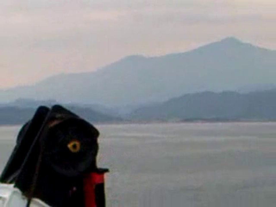 Video001
