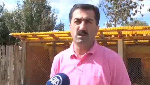 25 bin liralık köpek