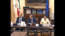 Roma - Audizioni ambasciatori Checchia e Cortese (13.09.13)