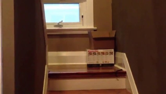 Owner Gets Lazy Dog Out Of Bed With Raccoon Call