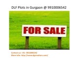 DLF Plots in Gurgaon
