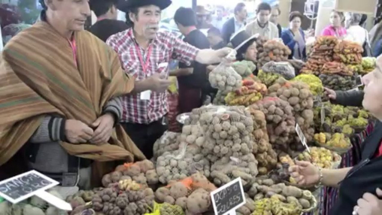 Peru hosts gourmet Mistura food festival