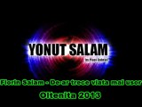 LIVE FLORIN SALAM - DE-AR TRECE VIATA MAI USOR - NUNTA MADIN 2013 - BY YONUTZ SALAM