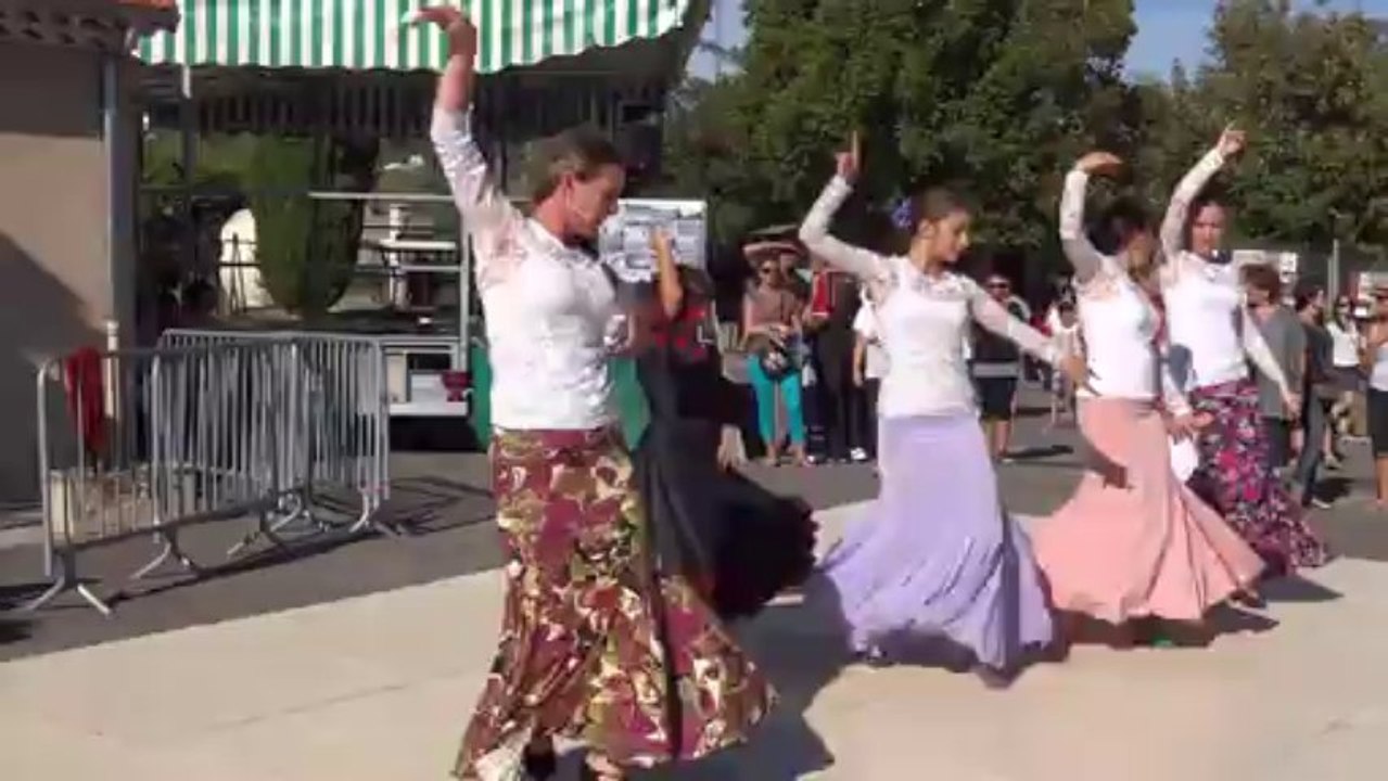 Flamenco