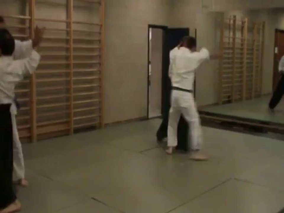 Bunkai : gyaku hanmi hidari kesa keri : irimi ura ki no nagare