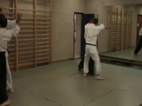 Bunkai : gyaku hanmi hidari kesa keri : irimi ura ki no nagare