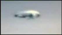 UFO X 2: Different craft, different places, different times, same E.T.'s... 14-9-2013