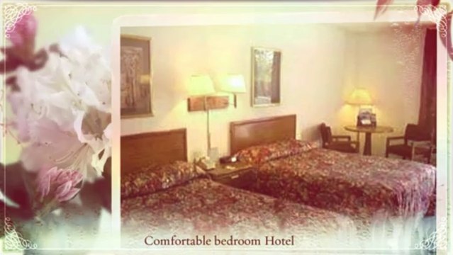 Orlando FL Disney Area Great Condos to Rent-Rental Studios