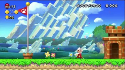 Test de capture Wii U : New Super Mario Bros. U