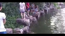 Guy saves drowning dog in park