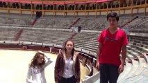 Plaza de toros