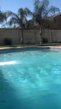 TOMMY SOTOMAYOR_ PART 1