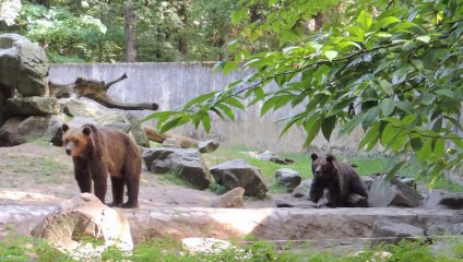 Parc animalier de Pescheray