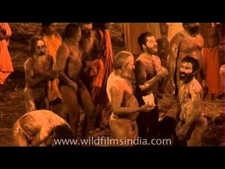 Allahabad Kumbh Mela: world record gathering of humanity!