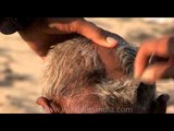 A Hindu pilgrim has his head shaved during Kumbh Mela