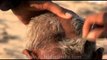 A Hindu pilgrim has his head shaved during Kumbh Mela