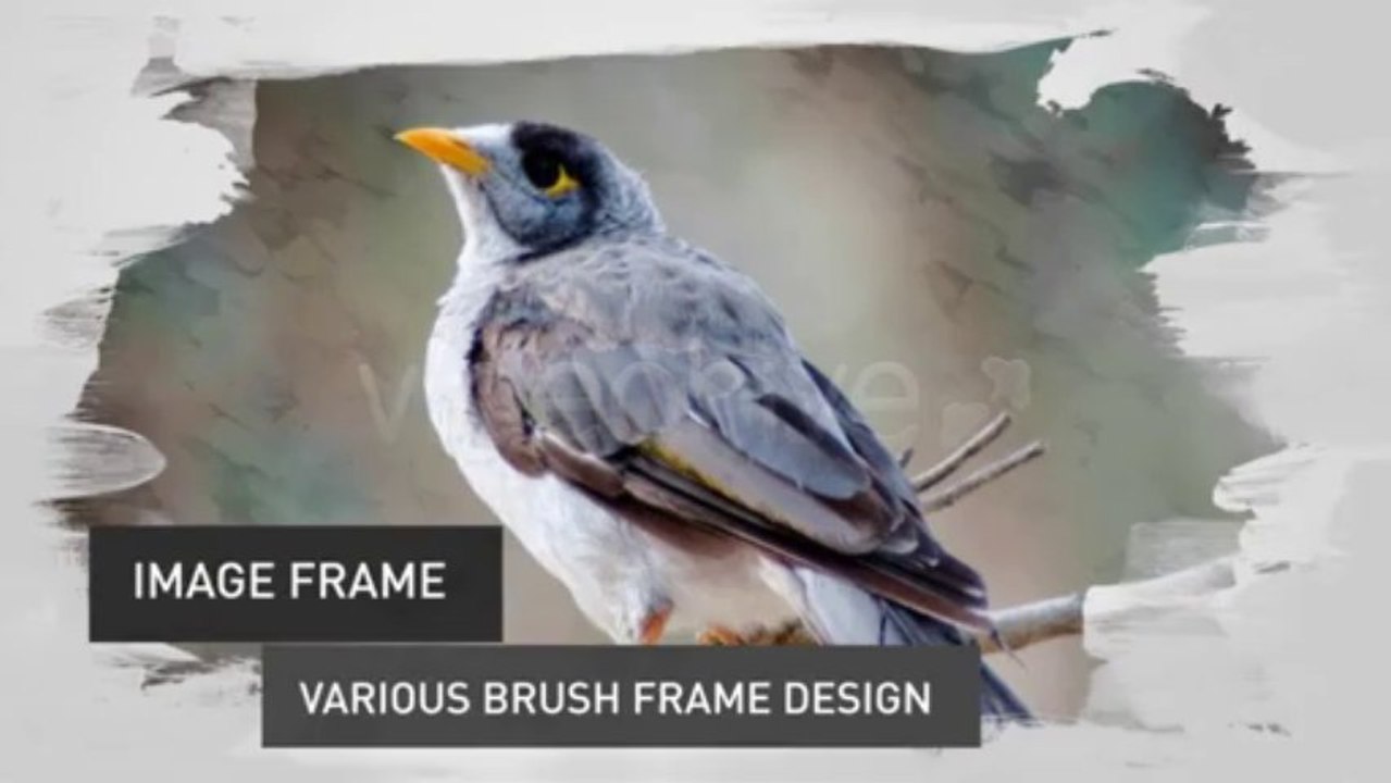 Brush Image Video Slide - After Effects Template