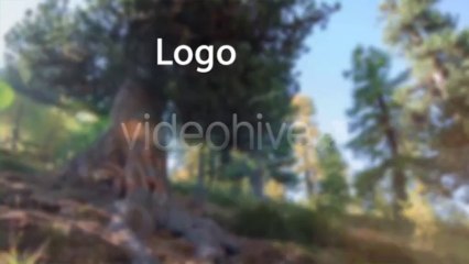 Lower Third Pack V2 - After Effects Template